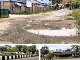 Hampir Setahun Pimpin Taliabu Tidak Ada Kemajuan Nyata, Pernyataan Kadis Kominfo Dinilai Hanya Menutupi Kesalahan Bupati