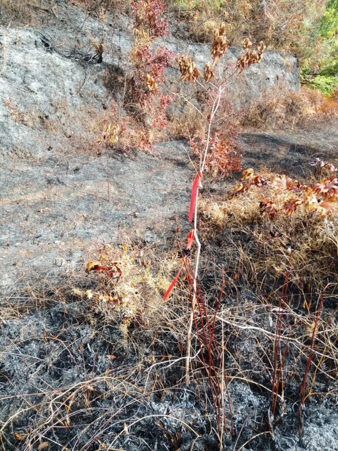 IMG-20260806-WA0065