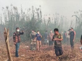 Lahan Gambut Seluas 2 Hektar di Kota Bobong Terbakar, 40 Personel Damkar Gerak Cepat, Begini Kronologis Sementara