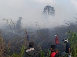 Kebakaran Terjadi Ditengah Pemukiman Warga Fangahu, Kapolres Imbau Masyarakat Taliabu Tidak Bakar Lahan Saat Ini