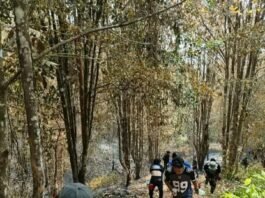 Update Dampak Karhutla Per 14 Oktober 2026, Begini Jumlah Tanaman dan Luas Lahan Terdampak